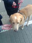     
: Фото0166.jpg
: 18
:	72.9 
ID:	10665184