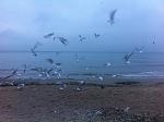     
: IMG_4430.jpg
: 17
:	117.5 
ID:	10665720