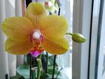     
: DSCN2864.jpg
: 6
:	101.6 
ID:	10668427