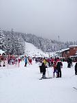     
: image.jpg
: 9
:	57.3 
ID:	10670662