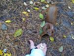     
: IMG_20151022_153212.jpg
: 20
:	295.6 
ID:	10673114