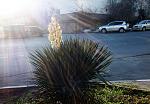    
: IMG_20151210_145312.jpg
: 5
:	122.1 
ID:	10674415