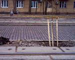     
: SP_A4210.jpg
: 11
:	82.6 
ID:	10674829