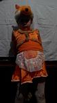     
: IMG_20151128_155458.jpg
: 3
:	43.7 
ID:	10677016
