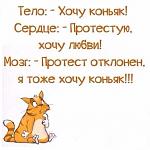     
: FjKOHZEVu18.jpg
: 19
:	40.4 
ID:	10677749