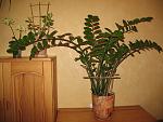     
: IMG_3102.jpg
: 84
:	139.0 
ID:	1068190