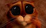     
: 198113_1440_900.jpg
: 18
:	98.3 
ID:	10684518