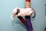     
: IMG_3818.jpg
: 16
:	50.3 
ID:	10685148