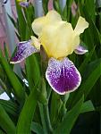     
: b470431bc562.jpg
: 24
:	31.2 
ID:	10691