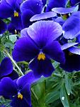     
: 298c35d4915c.jpg
: 21
:	35.8 
ID:	10692