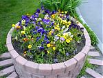     
: f33ad498298f.jpg
: 16
:	49.3 
ID:	10693
