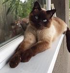     
: 20150530_132042.jpg
: 18
:	158.2 
ID:	10693959