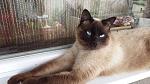     
: 20150530_132111.jpg
: 14
:	137.3 
ID:	10693960