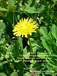     
: 2ef5567b04ee.jpg
: 14
:	69.9 
ID:	10694