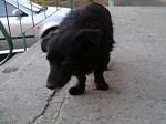     
: 0843_001.jpg
: 198
:	85.5 
ID:	10695760