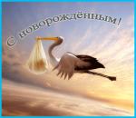     
: b44028793dd6.jpg
: 28
:	21.1 
ID:	10697262