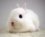     
: 83_588dc14ed8.jpg
: 8
:	16.4 
ID:	10699630