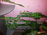     
: 20151219_180631.jpg
: 47
:	131.4 
ID:	10699877