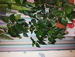     
: 20151219_182557.jpg
: 52
:	173.0 
ID:	10699880