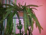     
: 20151219_180612.jpg
: 57
:	183.0 
ID:	10699882
