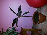     
: 20151219_181101.jpg
: 47
:	81.6 
ID:	10699897