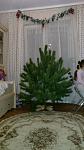     
: IMG_20151220_170305.jpg
: 47
:	69.4 
ID:	10701649