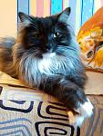     
: IMG_20150404_110229.jpg
: 16
:	117.7 
ID:	10705267