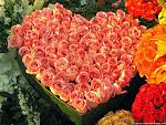     
: roses-valentine-wallpaper.jpg
: 17
:	137.8 
ID:	10707002