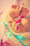     
: IMG_9070.jpg
: 39
:	180.3 
ID:	10707134