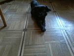     
: WHjkFxD-Tb0.jpg
: 18
:	42.9 
ID:	10712062