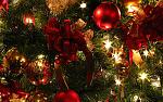     
: F0SWbmD.jpg
: 11
:	245.1 
ID:	10712238