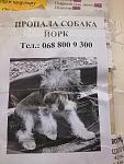     
: 23122015456.jpg
: 17
:	108.3 
ID:	10712671