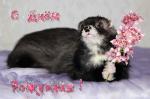     
: img027yey.jpg
: 14
:	43.8 
ID:	10717260