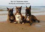    
: x_22286223.jpg
: 27
:	59.5 
ID:	10721484