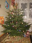     
: IMG_5812.jpg
: 29
:	159.8 
ID:	10721772