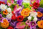     
: images.jpg
: 66
:	20.3 
ID:	10723986