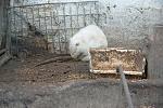     
: DSC_2615.jpg
: 16
:	176.9 
ID:	10725973