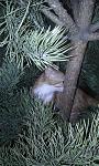     
: 20151229_145004.jpg
: 52
:	143.5 
ID:	10728763
