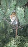     
: 20151229_150836.jpg
: 45
:	131.5 
ID:	10728765