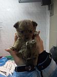     
: P51229-151955.jpg
: 30
:	64.1 
ID:	10728981