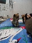     
: P51229-151022.jpg
: 27
:	92.1 
ID:	10728984