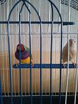     
: 20151219_142857.jpg
: 37
:	88.9 
ID:	10729095
