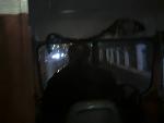     
: Фото0874.jpg
: 13
:	49.3 
ID:	10729288