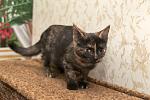     
: DSC_0101.jpg
: 9
:	101.4 
ID:	10731207