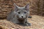     
: DSC_0068.jpg
: 7
:	107.7 
ID:	10731208