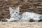     
: DSC_0093.jpg
: 10
:	177.1 
ID:	10731211