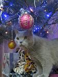     
: IMG_2672.jpg
: 8
:	93.4 
ID:	10731280