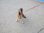     
: 20151231113031.jpg
: 11
:	244.4 
ID:	10731704