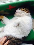     
: image.jpg
: 40
:	82.5 
ID:	10731760