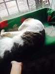     
: image.jpg
: 39
:	81.9 
ID:	10731761